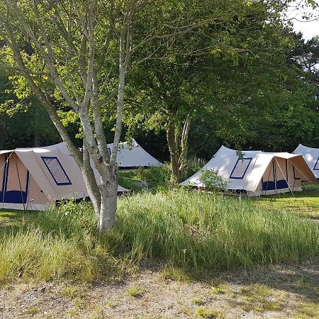 Ameland Tentenverhuur Nes  Exteriör bild