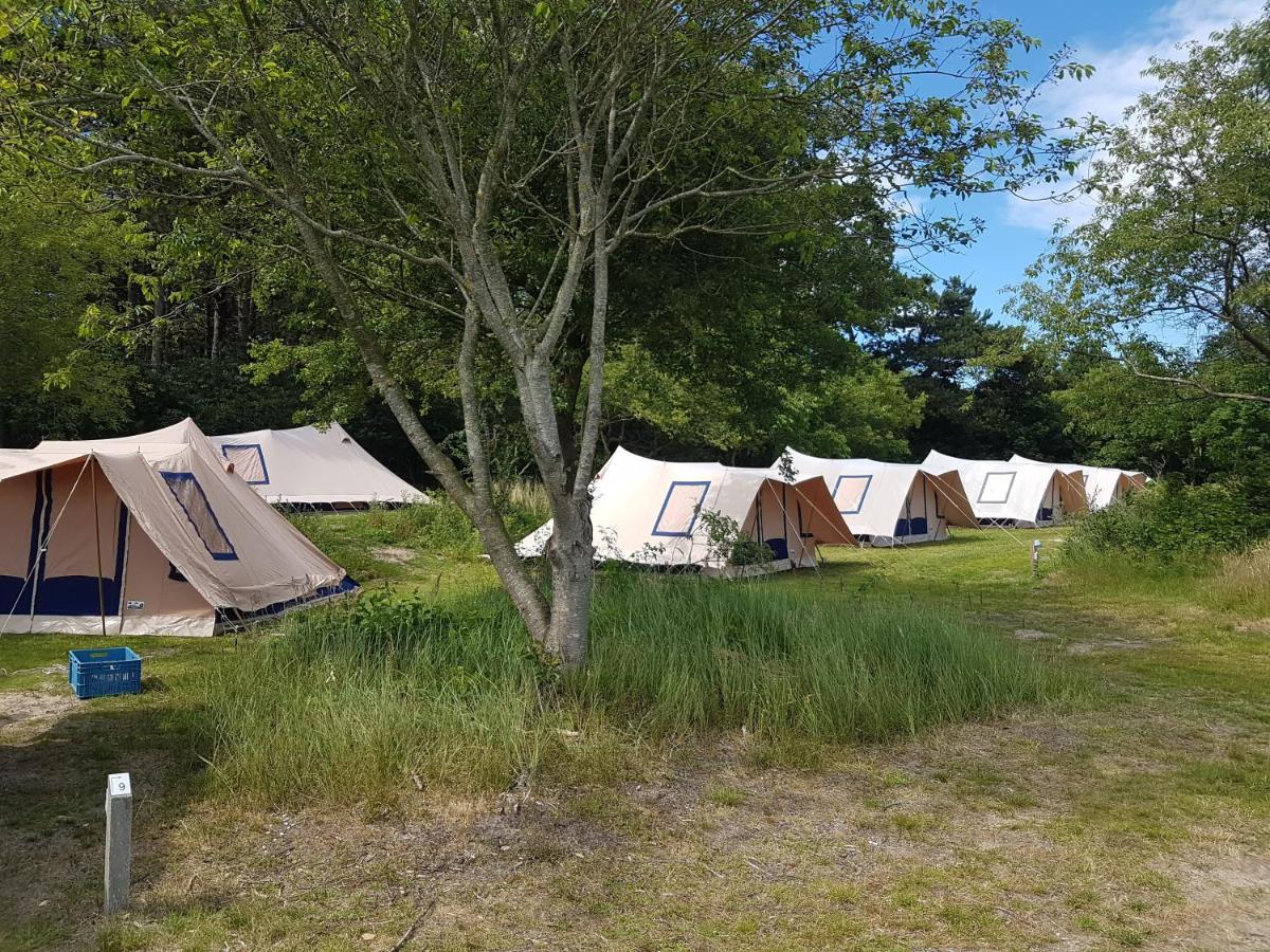 Ameland Tentenverhuur Nes  Exteriör bild