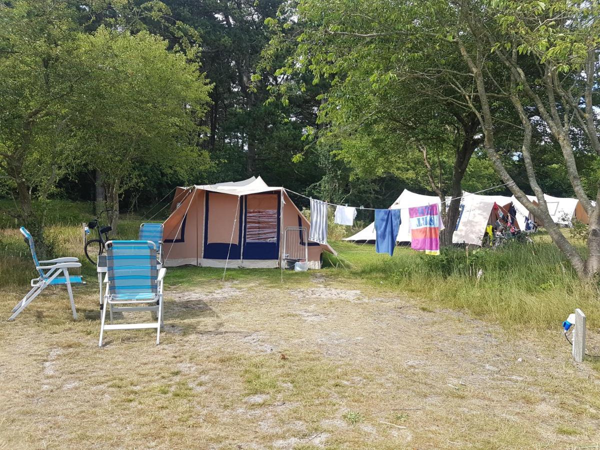 Ameland Tentenverhuur Nes  Exteriör bild